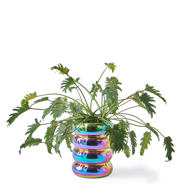 Chubby Plant Pot <br> Multi-color <br> (Ø 34 x H 44) cm
