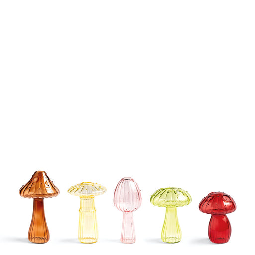 Mushroom Vase Bundle <br> Set of 5