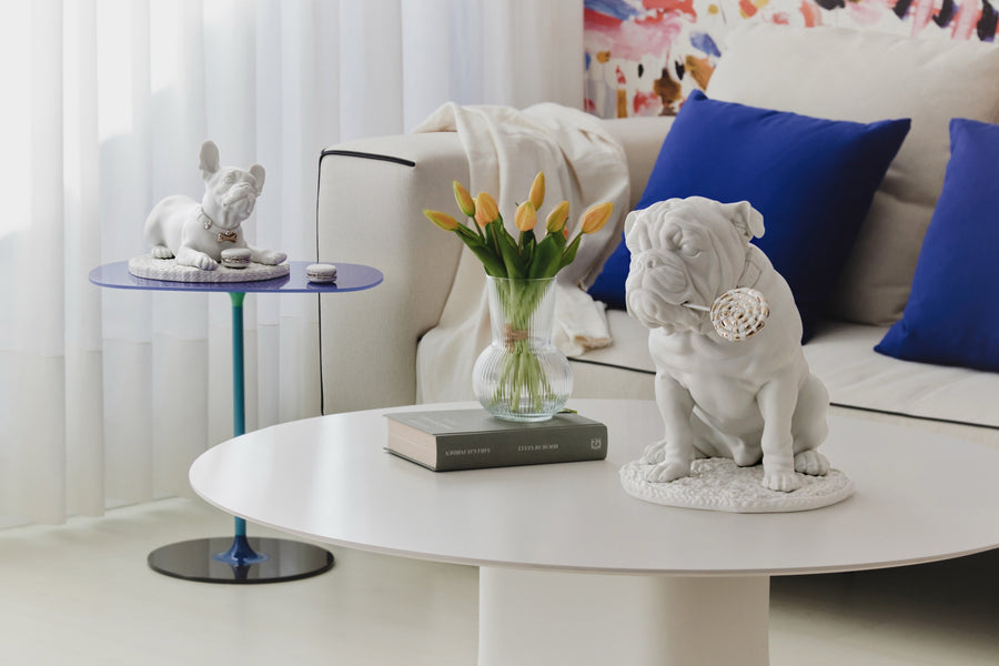 The Ultimate Guide to Home Accessories in Dubai