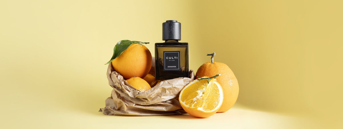 The Complete Guide to Fragrance Diffusers and Aromatherapy