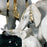 Celebration Elephants on Black Rock Figurine <br> (L 22 x W 40 x H 36) cm