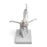 Giselle Arabesque Ballet Figurine <br> 
(L 21 x W 18 x H 28) cm