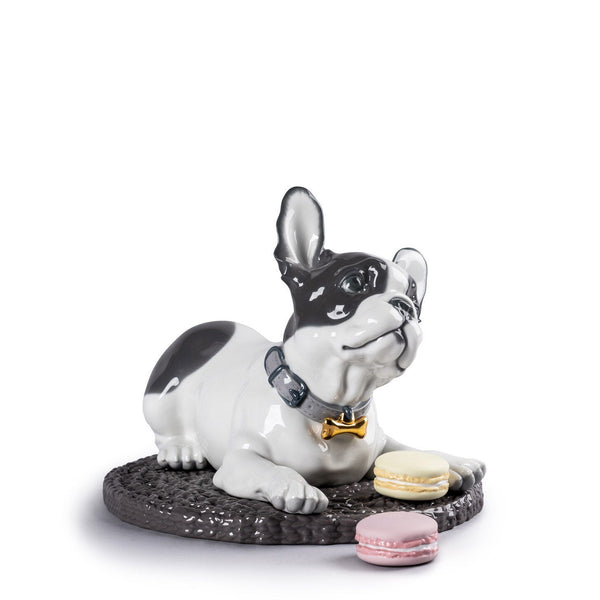 French Bulldog with Macarons Dog Figurine <br> 
(L 35 x W 29 x H 24) cm
