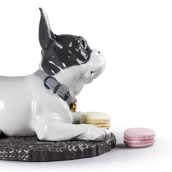 French Bulldog with Macarons Dog Figurine <br> 
(L 35 x W 29 x H 24) cm