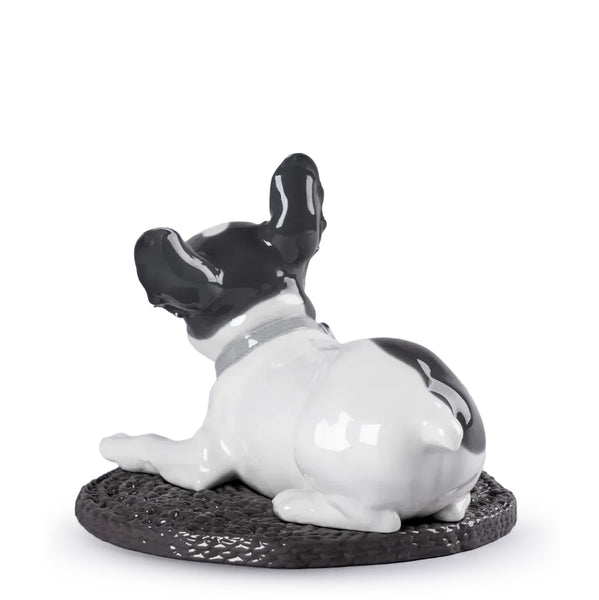 French Bulldog with Macarons Dog Figurine <br> 
(L 35 x W 29 x H 24) cm