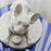 French Bulldog with Macarons Sculpture: Re-Deco <br> 
(L 35 x W 29 x H 24) cm