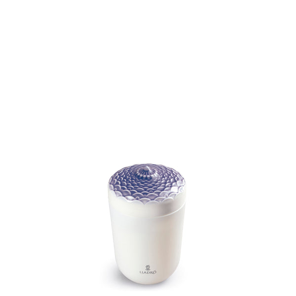 Candles & Fragrances