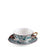 Hybrid Teacup with Saucer <br> 
Aspero