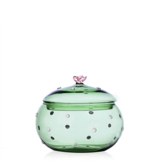 Desert Plants Box <br> 
Green Cactus / Pink Flower <br> 
(Ø 13.5 x H 11) cm