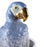 Macaw Bird Vase <br> 
(L 24 x W 29 x H 56) cm