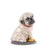 Puppie Pug Sculpture <br> 
(L 20 x W 20 x H 24) cm