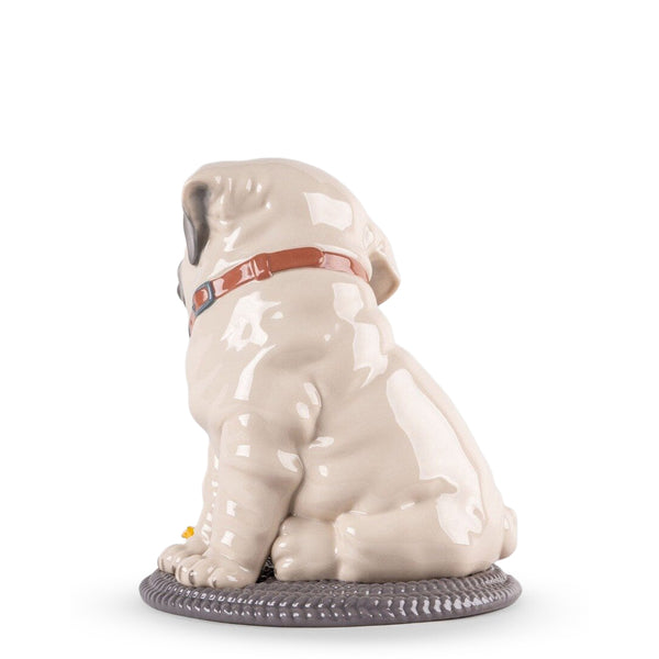 Puppie Pug Sculpture <br> 
(L 20 x W 20 x H 24) cm
