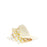 Glass Shell <br> (L 22 x W 14 x H 14) cm
