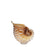 Glass Conch <br> (L 25 x W 13 x H 29.5) cm