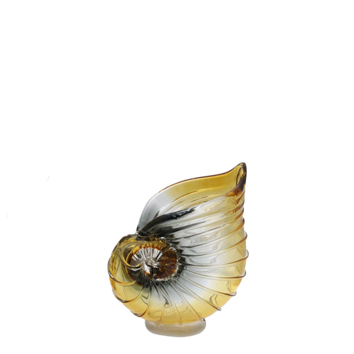 Glass Conch <br> (L 20 x W 10 x H 20) cm
