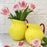 Pallina Pitcher <br> Yellow / Red <br> 2 Liters
