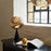 Whirl Cone Fat Table Lamp <br> Gold / Black <br> (L 30 x W 30 x H 47) cm