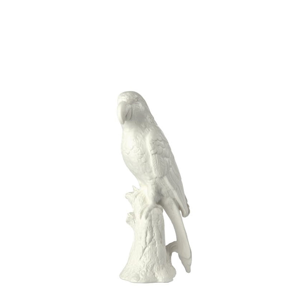 Parrot Statue <br> (L 12 x W 16 x H 35) cm