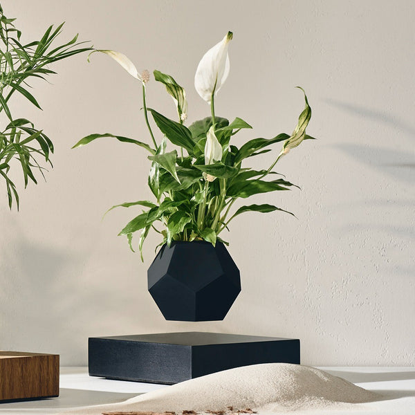 Lyfe Planter with Black Base and Black Skin Bundle