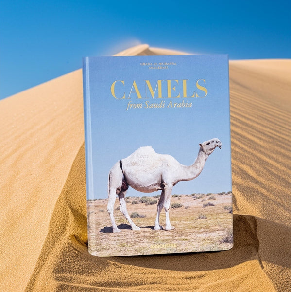 Camels from Saudi Arabia (Classic)