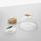 Marine Garden Box <br> 
Green Sardine <br> 
(Ø 12 x H 7.5) cm