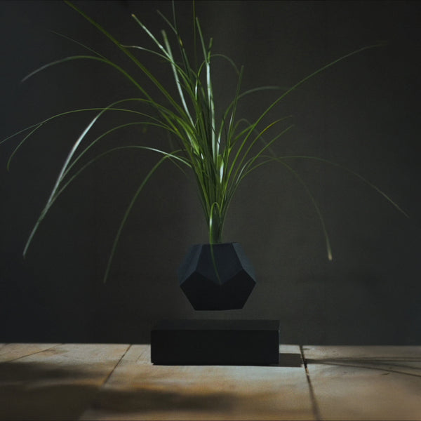 Lyfe Planter with Black Base and Black Skin Bundle