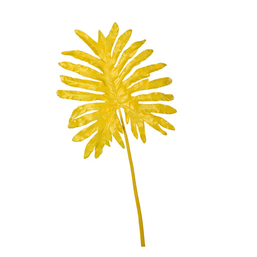 Selloum Leaf <br> Yellow