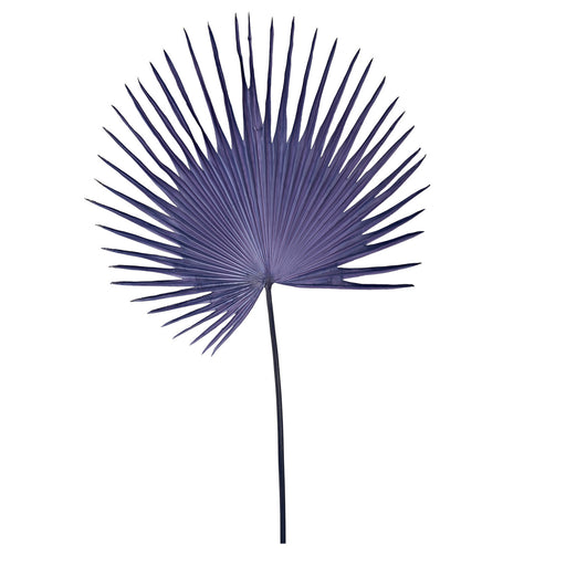 Fan Palm Leaf <br> Dark Blue <br> (H 152) cm