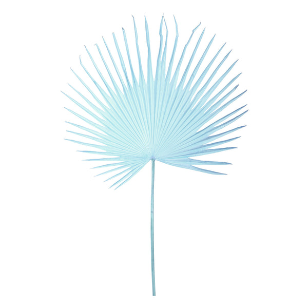 Fan Palm Leaf <br> Light Blue <br> (H 152) cm