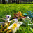 Flowerthief Vase <br> Yellow <br> (L 16 x W 4 x H 8.5) cm