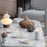 Majestic Nights Box with Plates <br> (Ø 24 x H 23) cm