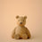 Teddy <br> (H 9) cm