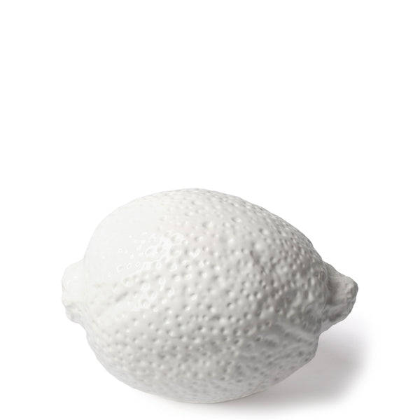 Sculptural Objects
