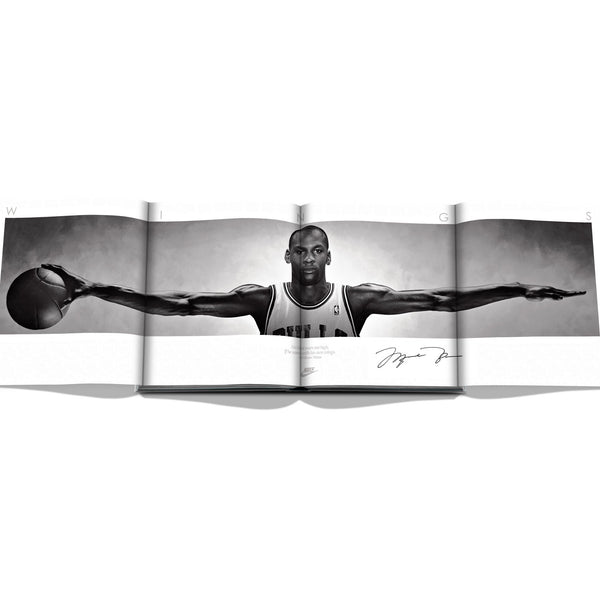 Air Jordan