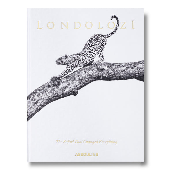 Londolozi: The Safari that Changed Everything
