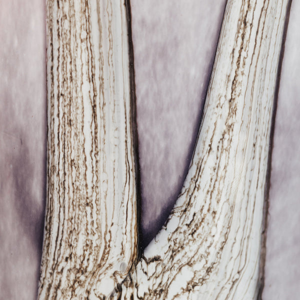 Woods Brocéliande Candle <br>Elemi, Vetiver, Moss <br>Limited Edition<br> (H 10) cm