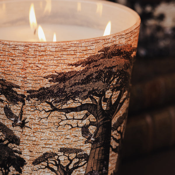 Sacred Trees Mankono Candle <br>
Cinnamon, Almond, Cedarwood
<br> (H 24) cm