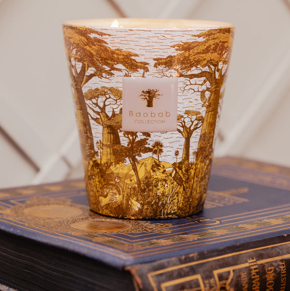 Sacred Trees Bounkani Candle <br>
Hazelnut Leaves, Green Fig, Sandalwood
<br> (H 24) cm