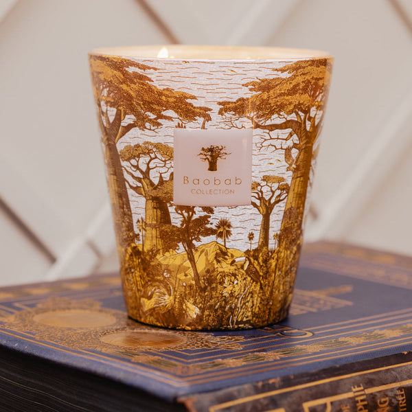 Sacred Trees Bounkani Candle <br>
Hazelnut Leaves, Green Fig, Sandalwood
<br> (H 10) cm