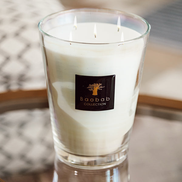 All Seasons Madagascar Candle <br> Frangipani Tree and Vanilla <br> (H 24) cm