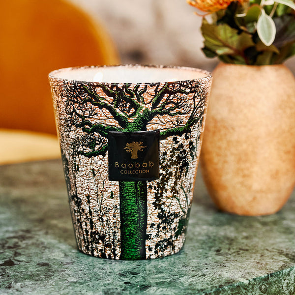 Sacred Trees Kani Candle <br> 
Vetiver, Galbanum, Leather <br> 
Limited Edition <br> 
(H 24) cm