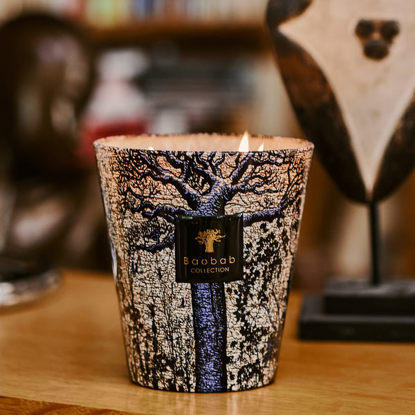 Sacred Trees Seguela Candle <br> 
Cedar, Incense, Eucalyptus Wood
 <br> Limited Edition <br> 
(H 10) cm