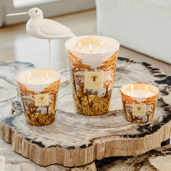 Sacred Trees Cocody Candle <br>
Basil, Jasmin, Patchouli <br>
Limited Edition <br>
(H 35) cm