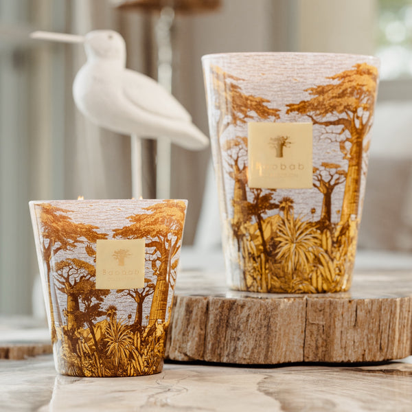Sacred Trees Cocody Candle <br>
Basil, Jasmin, Patchouli <br>
Limited Edition <br>
(H 16) cm