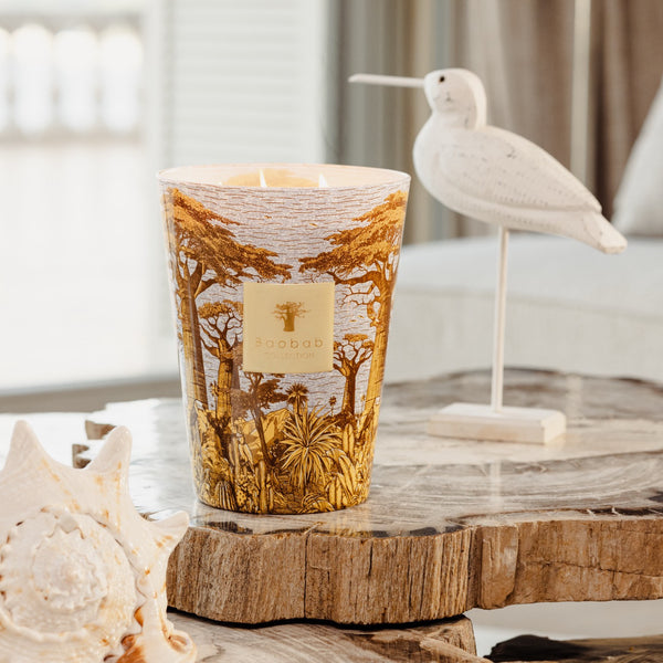 Sacred Trees Cocody Candle <br>
Basil, Jasmin, Patchouli <br>
Limited Edition <br>
(H 35) cm