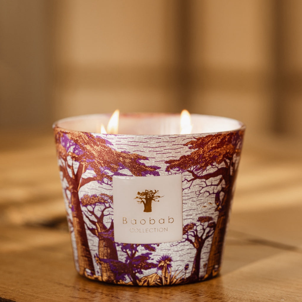 Sacred Trees Massasso Candle Hazelnut Leaves, Green Fig, Sandalwood ...