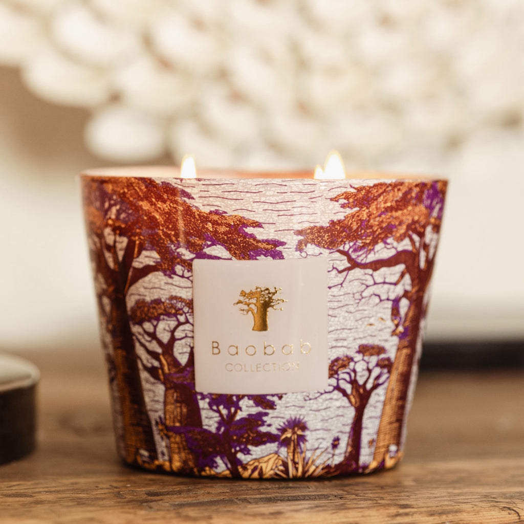 Sacred Trees Massasso Candle Hazelnut Leaves, Green Fig, Sandalwood ...