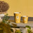Paz Dove Candle <br> Bergamot, Green Tea, Musk <br> Limited Edition <br> (H 35) cm