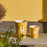 Paz Dove Candle <br> Bergamot, Green Tea, Musk <br> Limited Edition <br> (H 16) cm