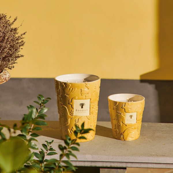 Paz Dove Candle <br> Bergamot, Green Tea, Musk <br> Limited Edition <br> (H 16) cm